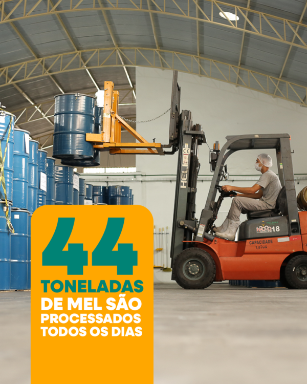 Mel Flores De Eucalipto Sabor Característico Balde 25Kg - Image 3