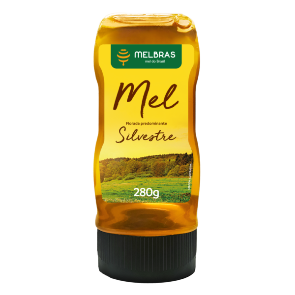 Mel silvestre 280g pote