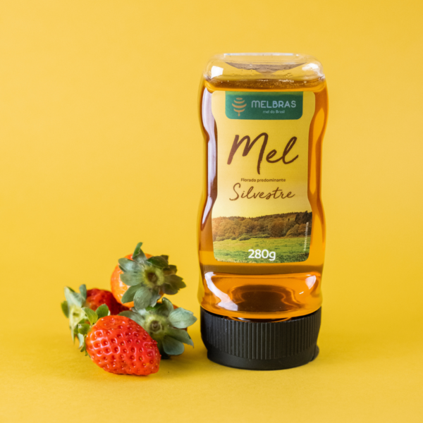 Mel Silvestre Bisnaga 280g Cx. 9Unid. - Image 2