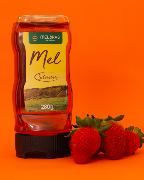 Mel silvestre 280g pote - Image 3